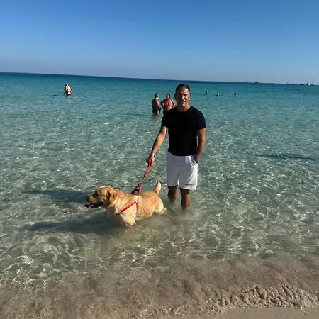 Feriehus Ninni House